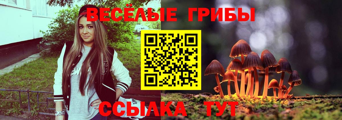 APVP Калач-на-Дону